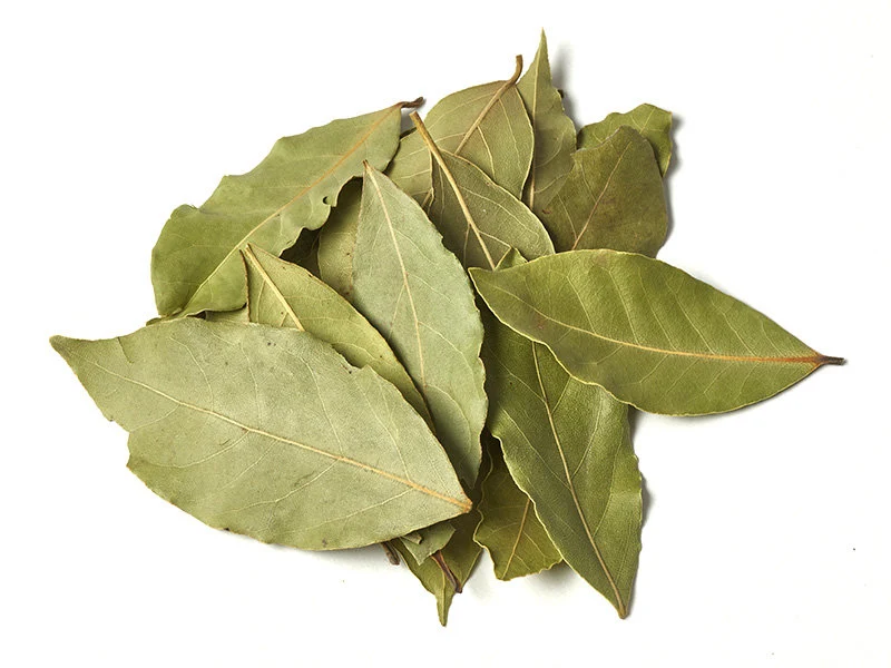 Bay Leaves — Gold Spices